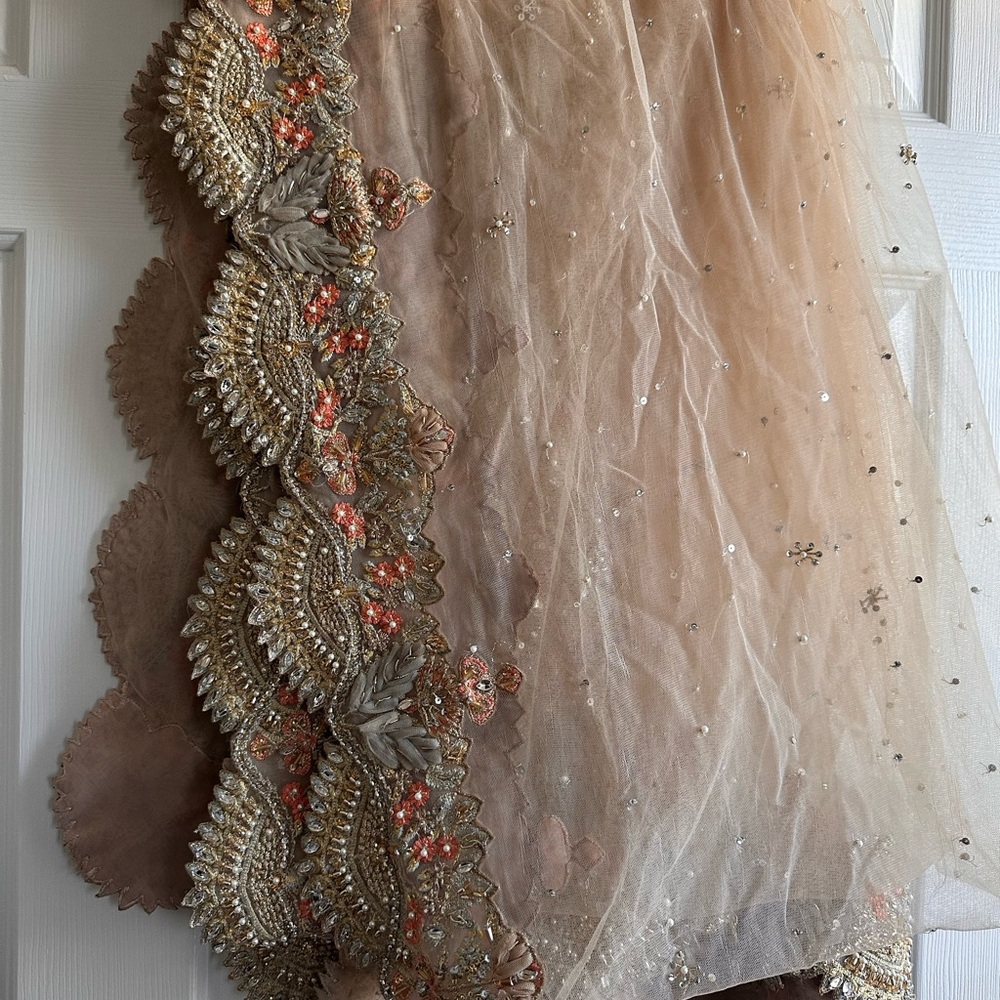 Pakistani/Indian bridal lengha - Picture 15 of 15